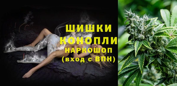 гашик Алзамай